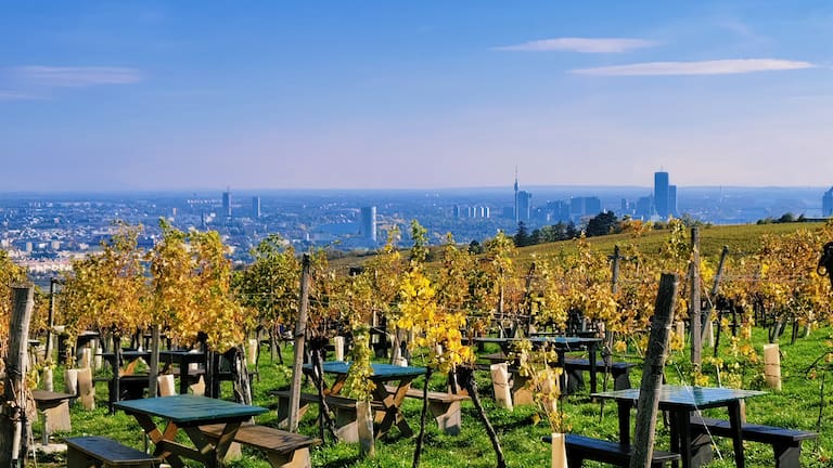 Das vivo V40 fängt die herbstlichen Farben und das Panorama perfekt ein.