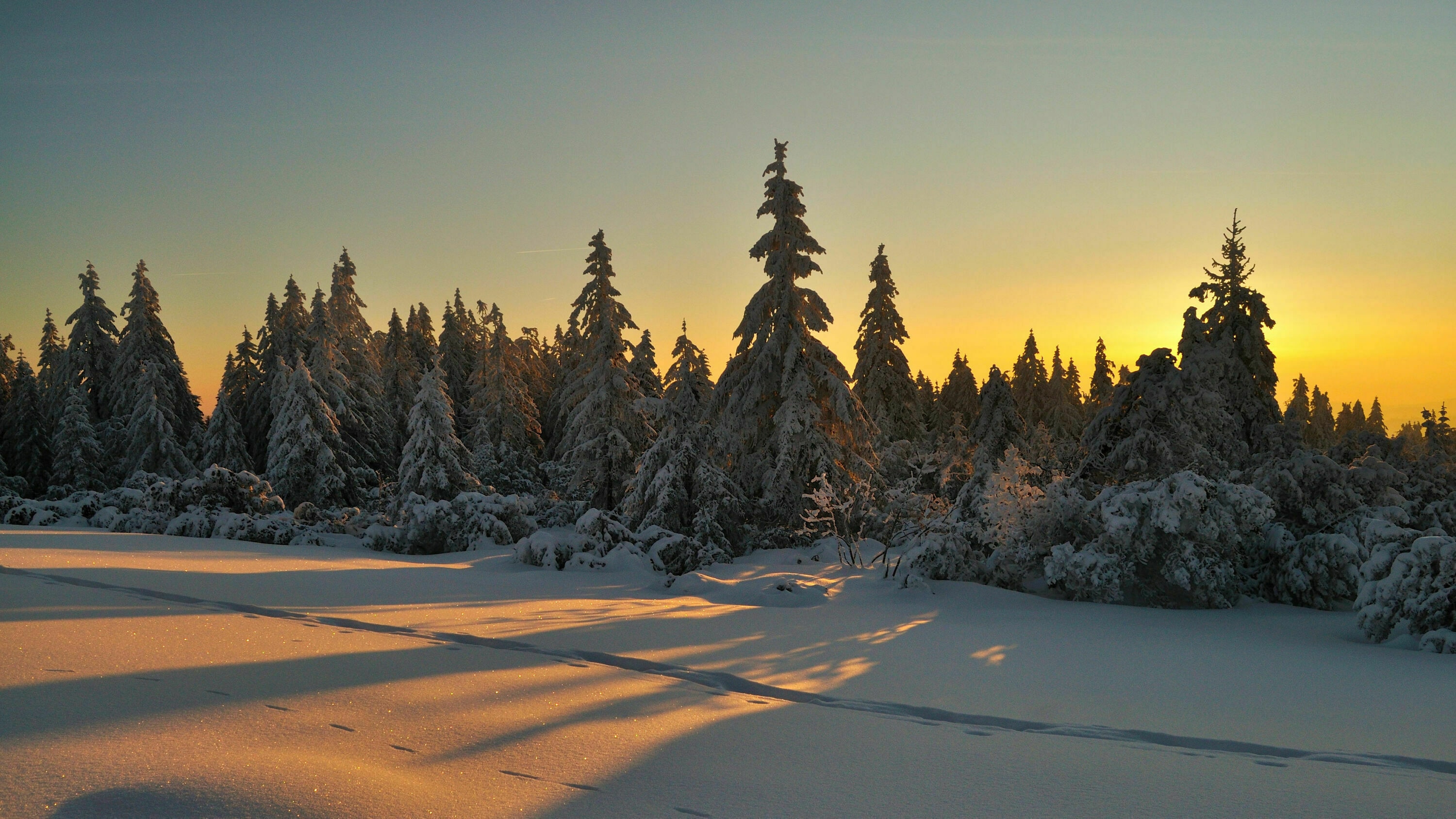 Winterwandern im Naturpark Schwarzwald Bergwelten