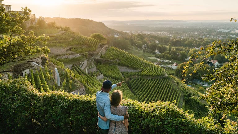 Wandern mit herrlichem Panorama in den Weinhängen bei Schloss Wackerbarth.