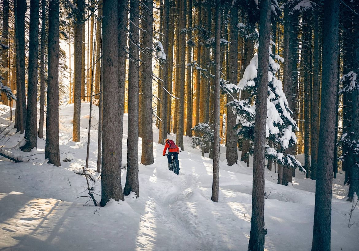 Fatbiken durch den winterlichen Wald