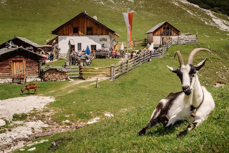 Fojedörahütte