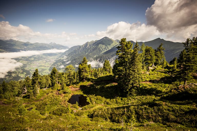 Graukogel Zirbenweg