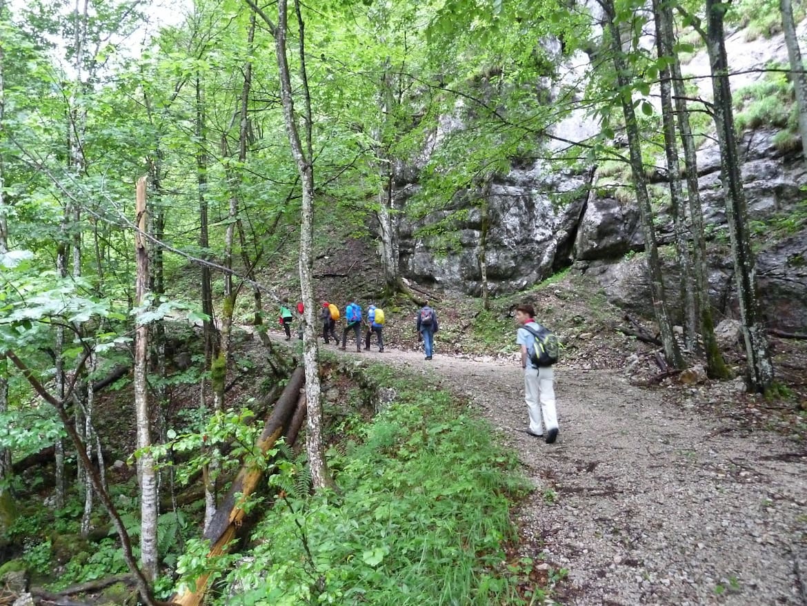 Durch den Hartelsgraben führte eine alte Forststraße bis hinauf zur Sulkaralm.