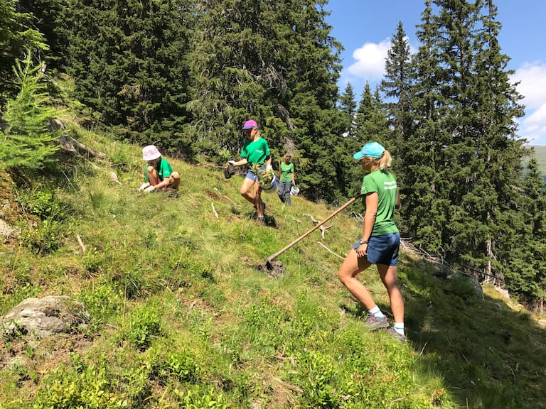 Bergwaldprojekt Obernberg