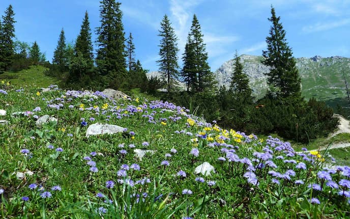 karwendel mountainbike tour