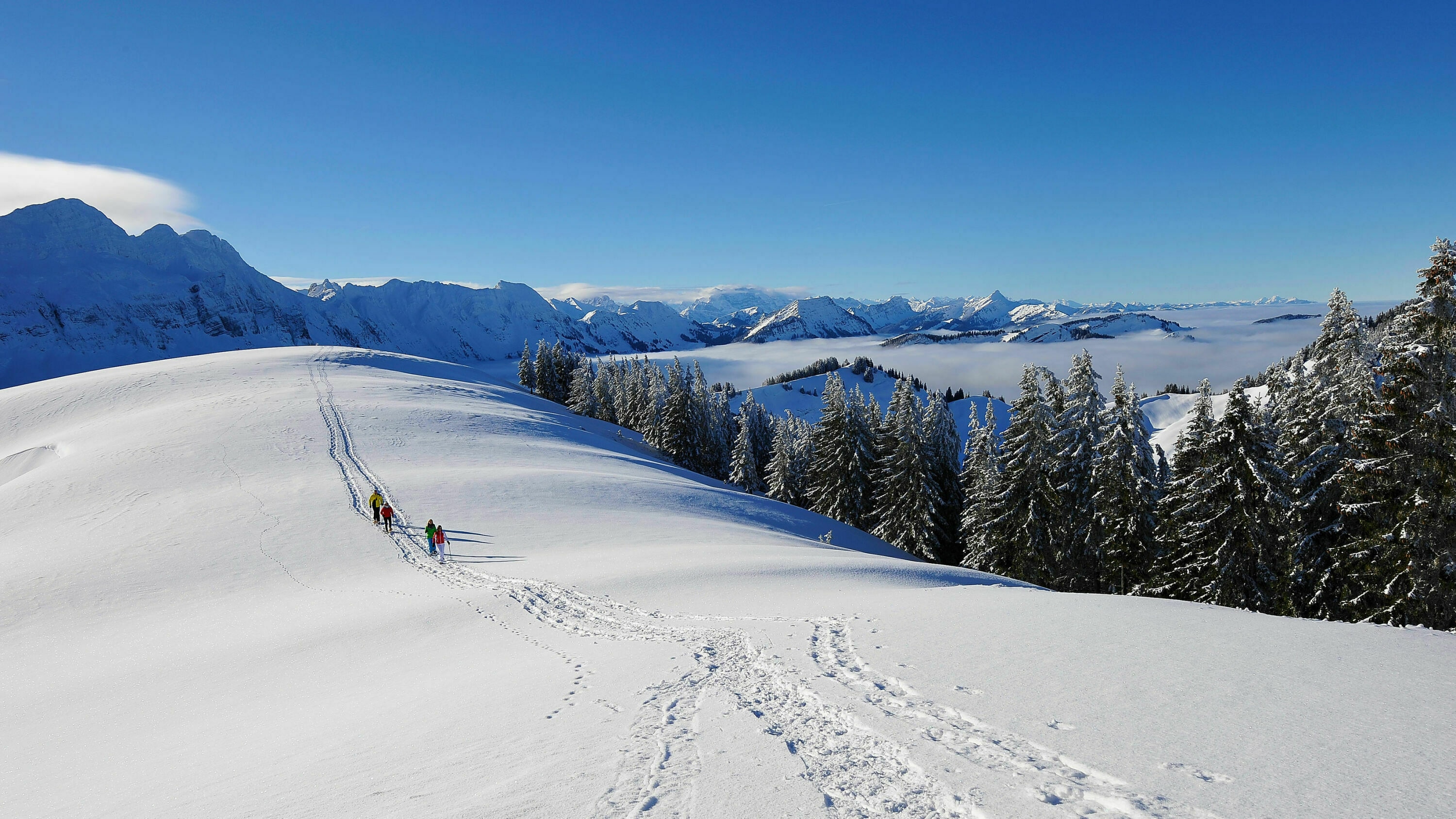 Stadtnahe Winter  Touren in der  Schweiz  Bergwelten