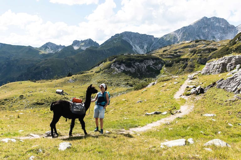 Wandern mit Lama Fischerhütte