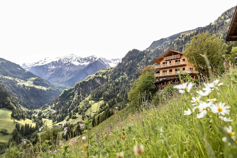 Hang mit Blumenwiesen bewachsen und in Mitten davon der Niedersteinhof