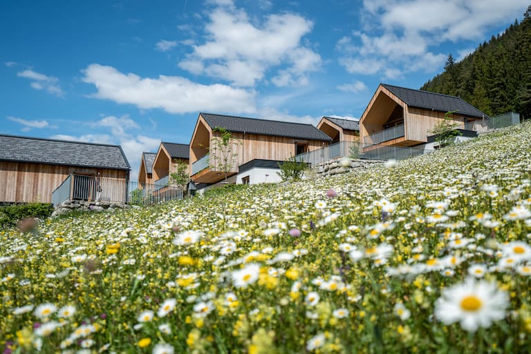 Blumenwiese mit Holzchalets am weissensee