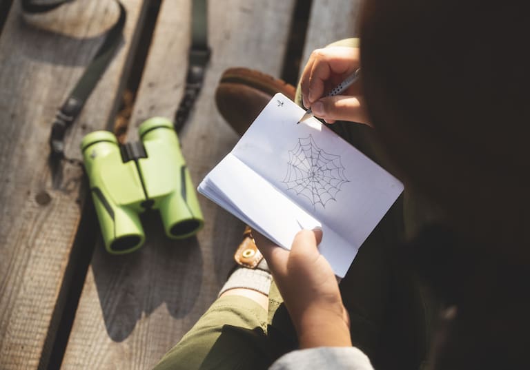 Wie richtige Forscher und Entdecker sammeln Kinder ihre Erkenntnisse über die Natur.