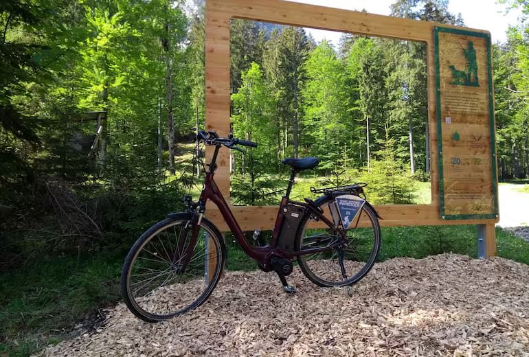 Am Waldblickweg im Naturpark Ammergauer Alpen