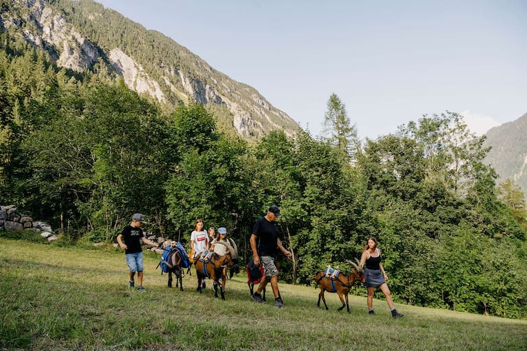 Wandern mit Ziege