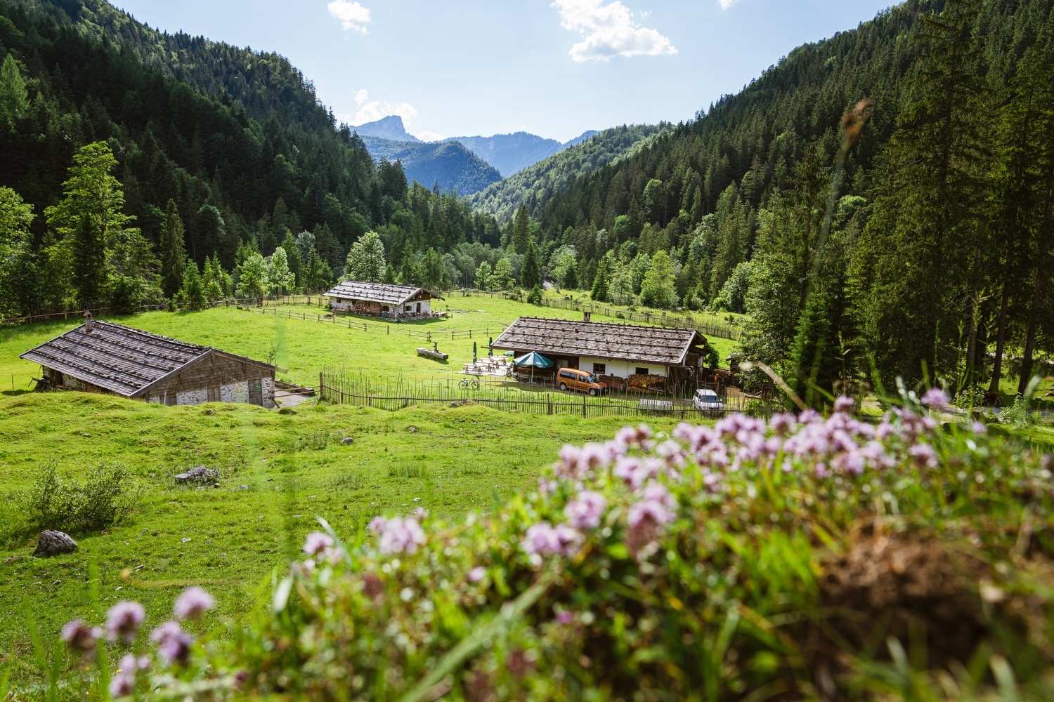 Schwarzachen Alm Bayern - Touren, Wetter, Zimmer - Bergwelten