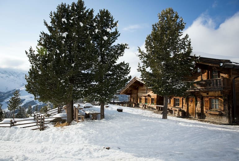 Die Grieralm im Winter mit den schönen alten Zirben.