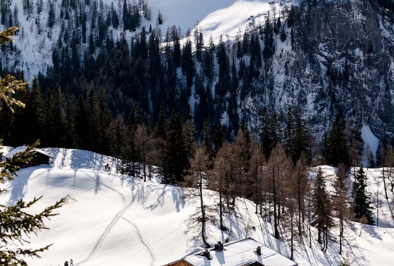 Blick auf das Schneibsteinhaus