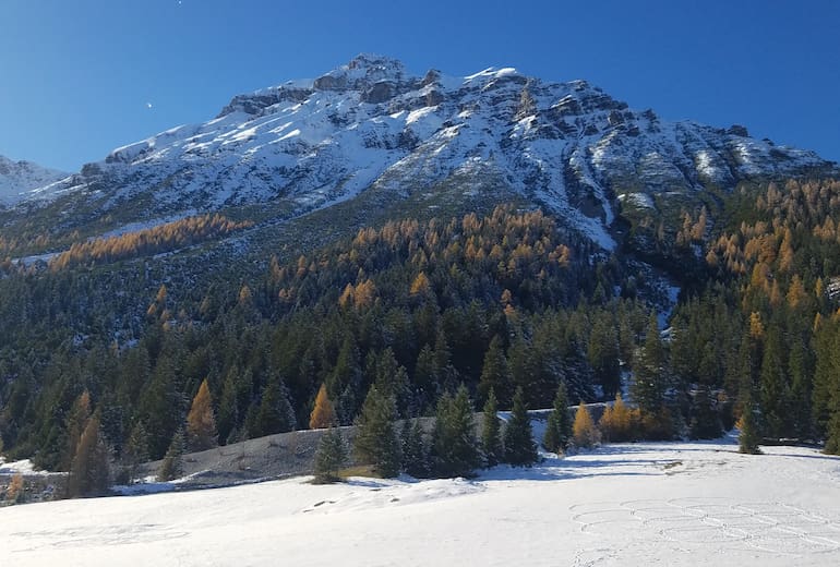 Die Matreier Ochsenalm liegt am Fuße der Serles.