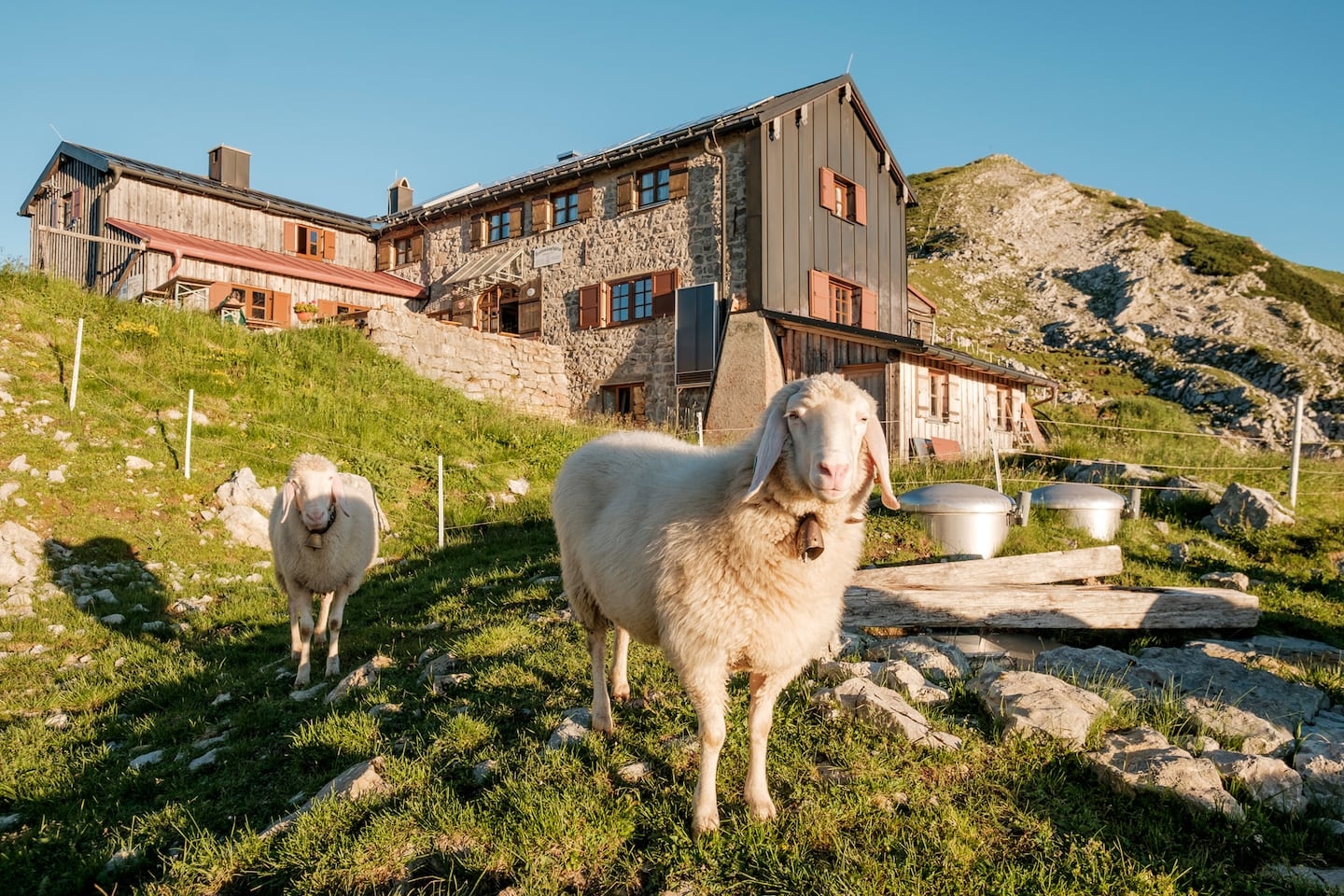 ▷ Wandern: Wanderung zur Weilheimer Hütte von der Bergstation der Wankbahn  - 3:14 h - 8 km - Bergwelten