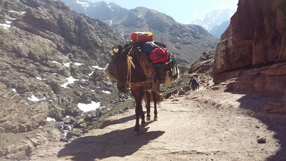 Wandern Djebel Toubkal Bergwelten