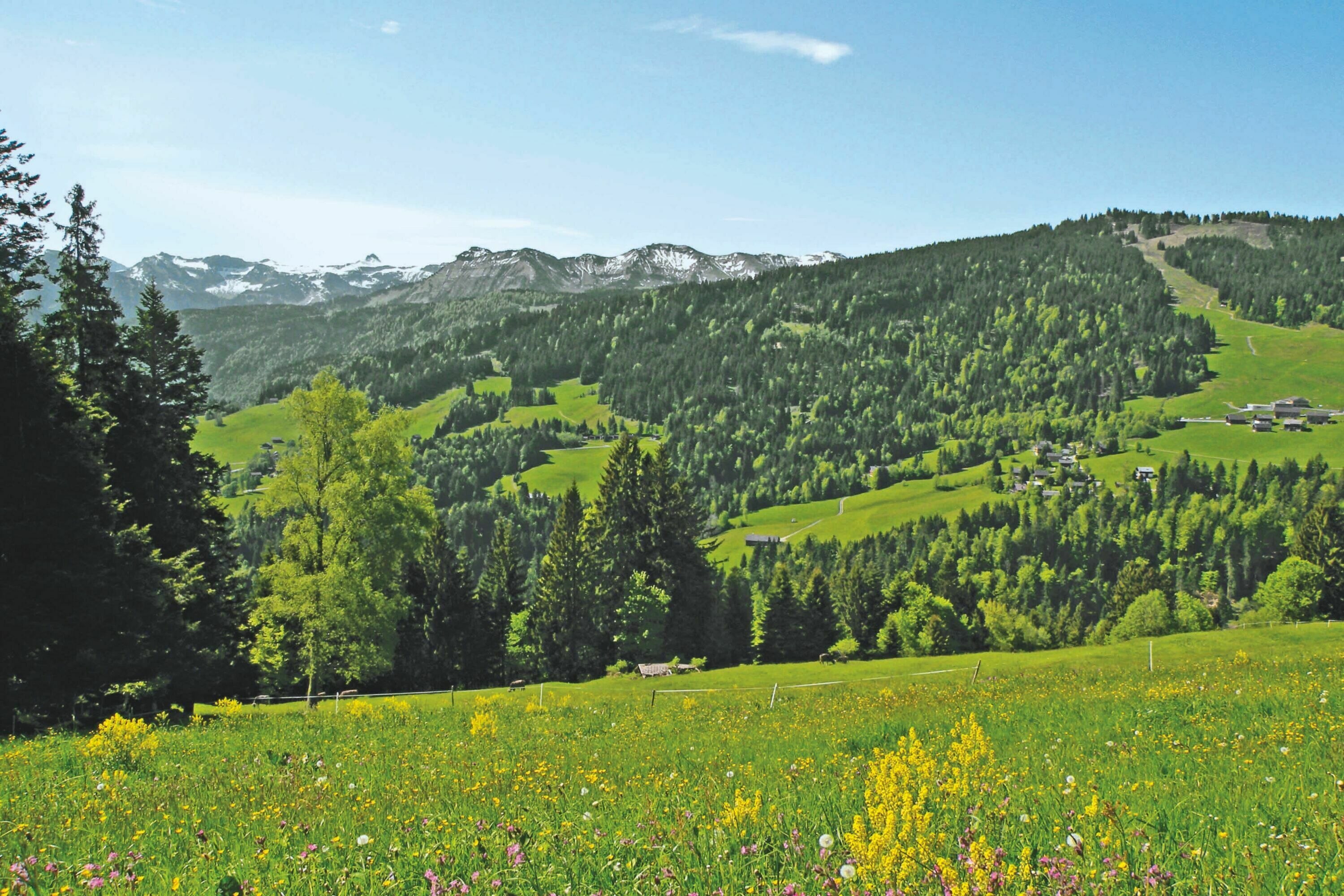 Wandern: Sagenweg Schwarzenberg - Bergwelten