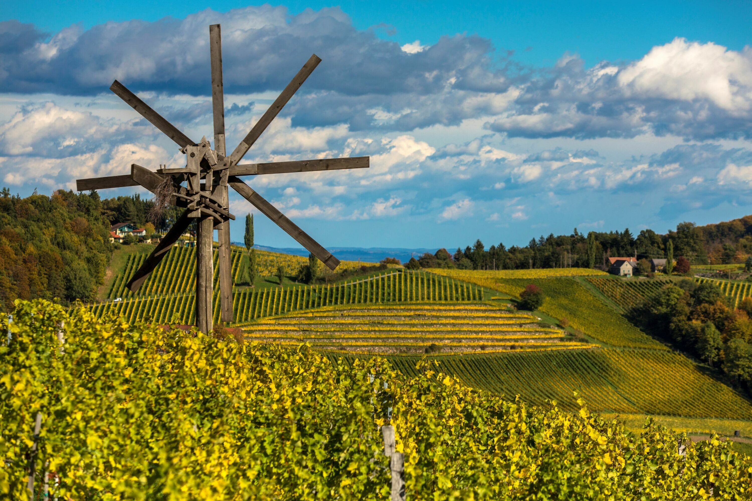 wandern an der sudsteirischen weinstrasse