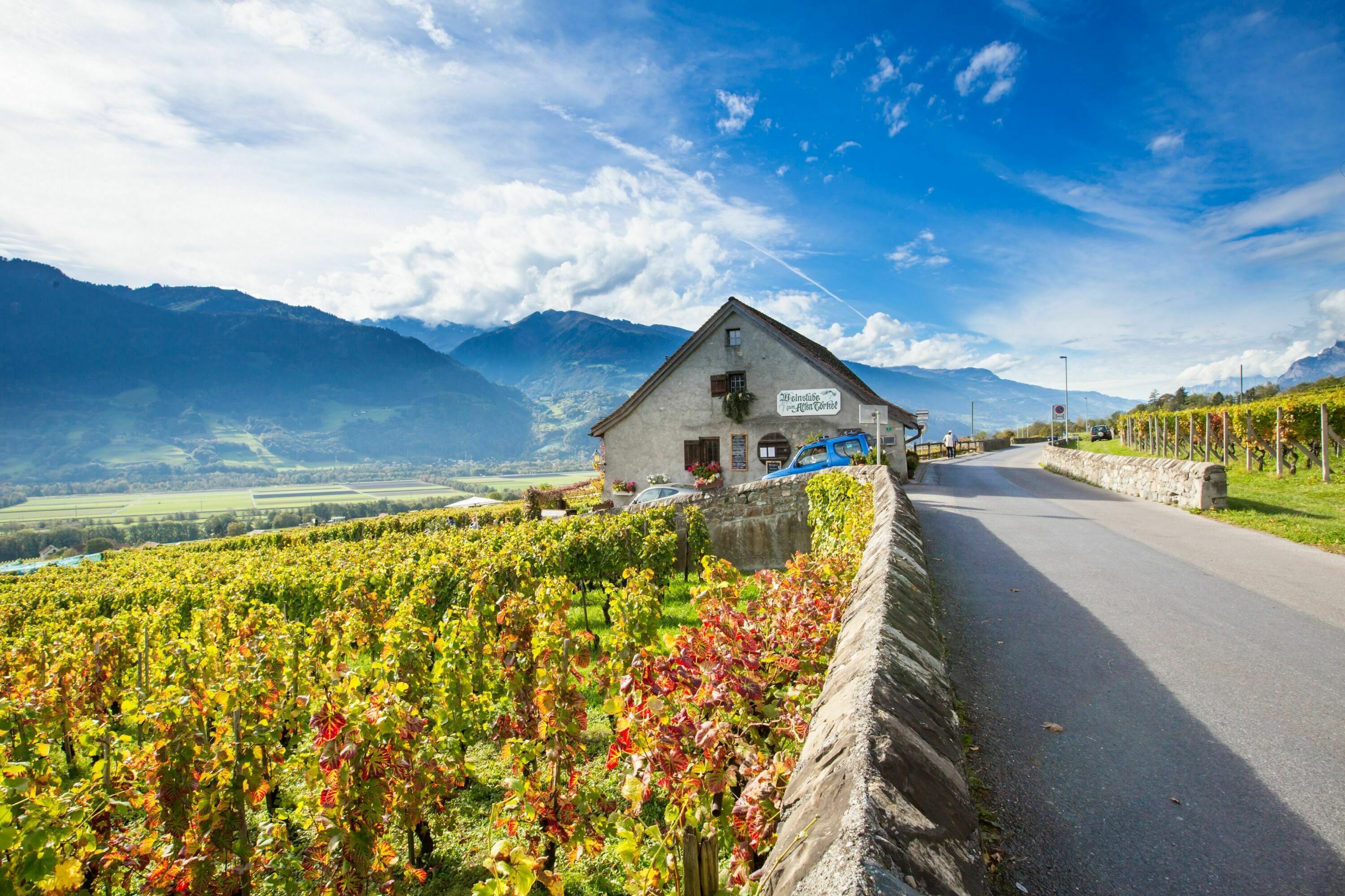 Wandern Weinrunde Maienfeld Fläsch Bergwelten