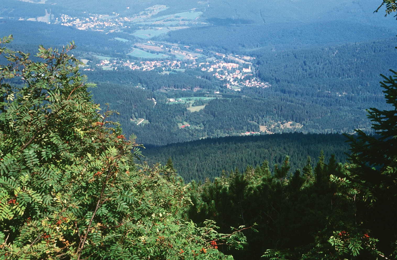 Wandern: Bayerisch Eisenstein – Schwellhäusl - 3:30 H - 10 Km - Bergwelten