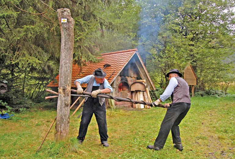 Wandern Enzklösterle Kaltenbronn Hohloh Bergwelten