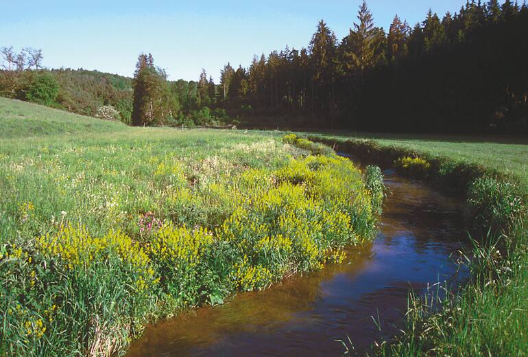 Wandern Fohlenhaus Bergwelten