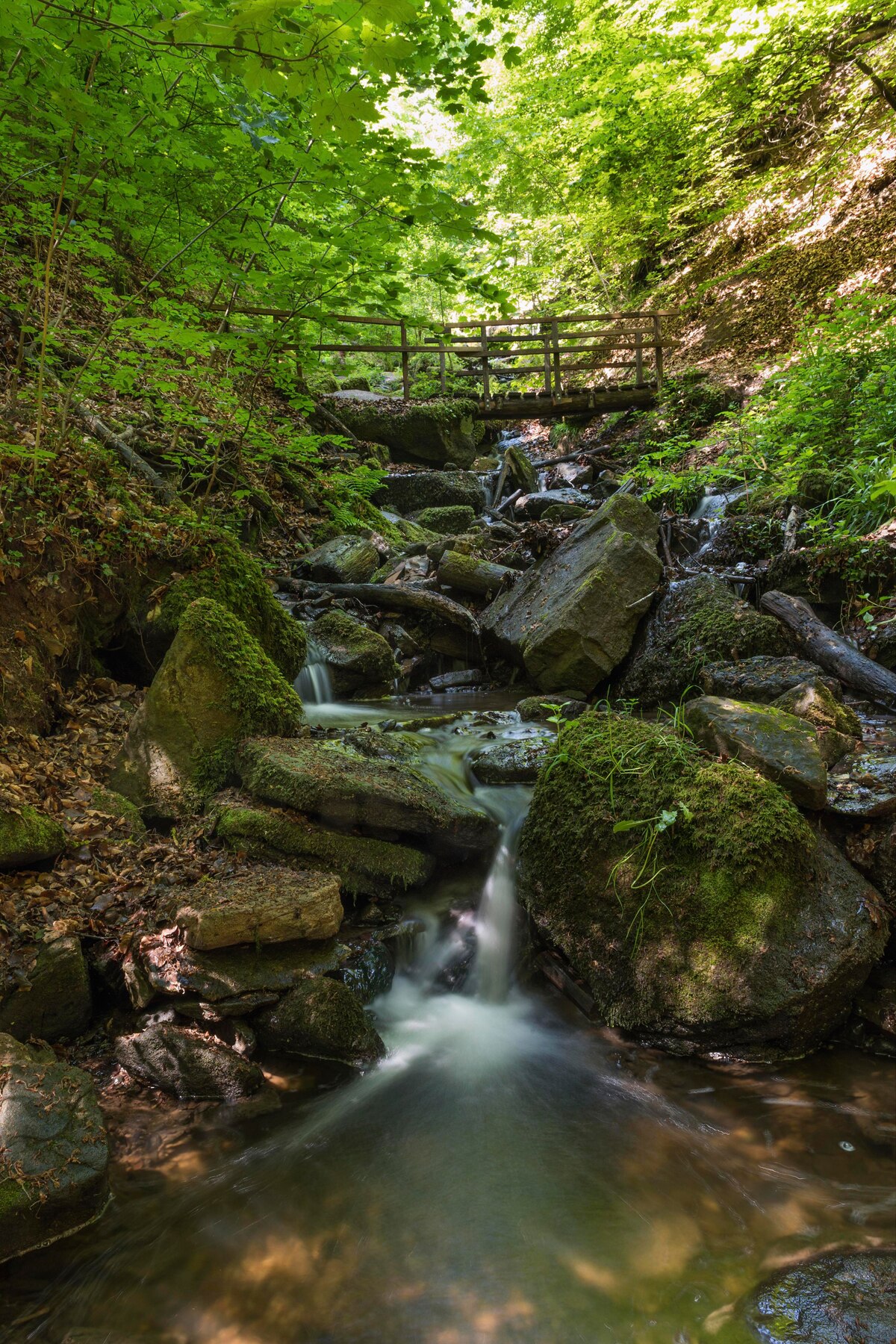 Wandern Heslacher Rundtour Bergwelten