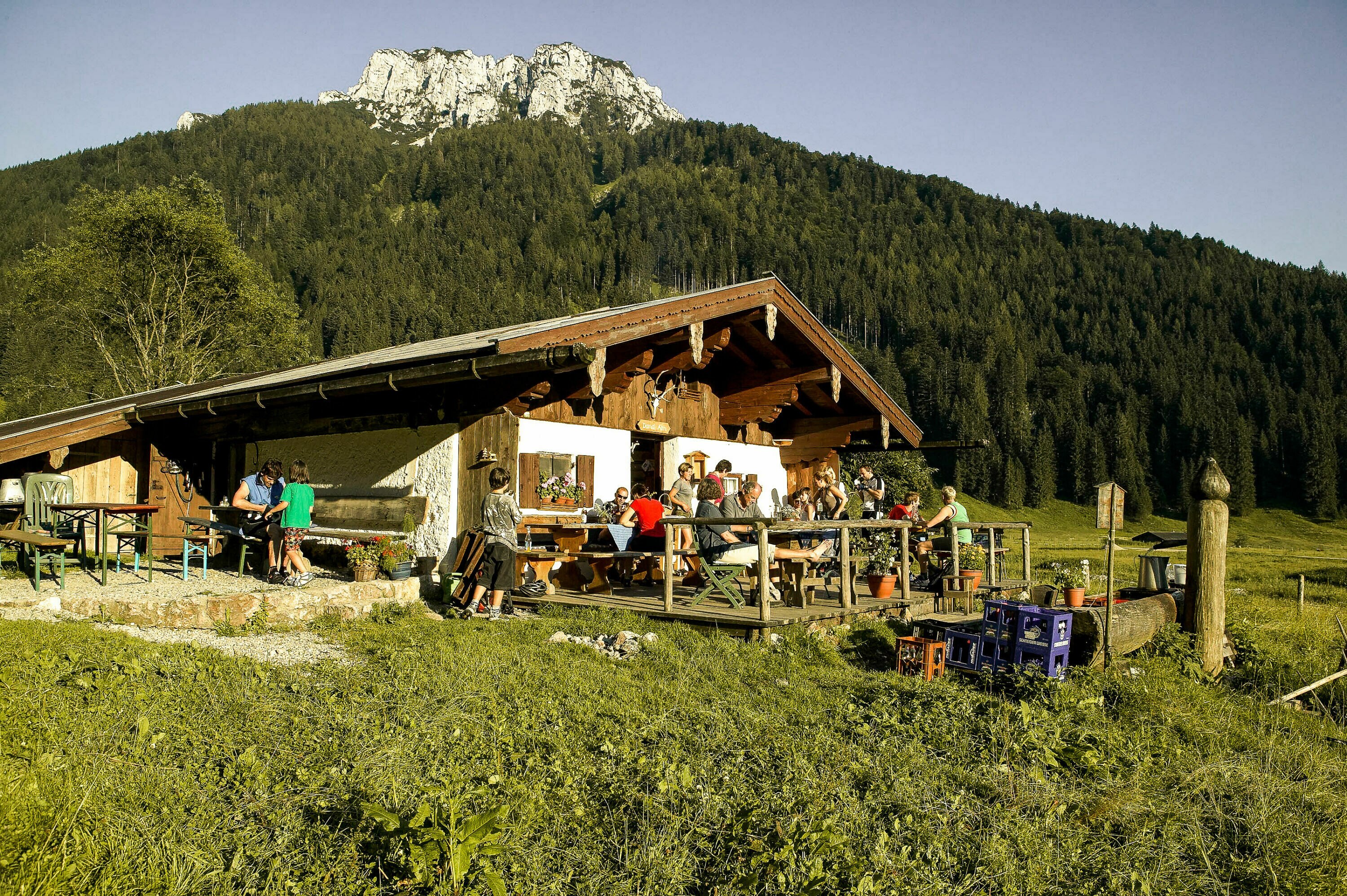 Wandern: Röthelmoos Almen - Almwanderung - 2:10 H - 7 Km - Bergwelten