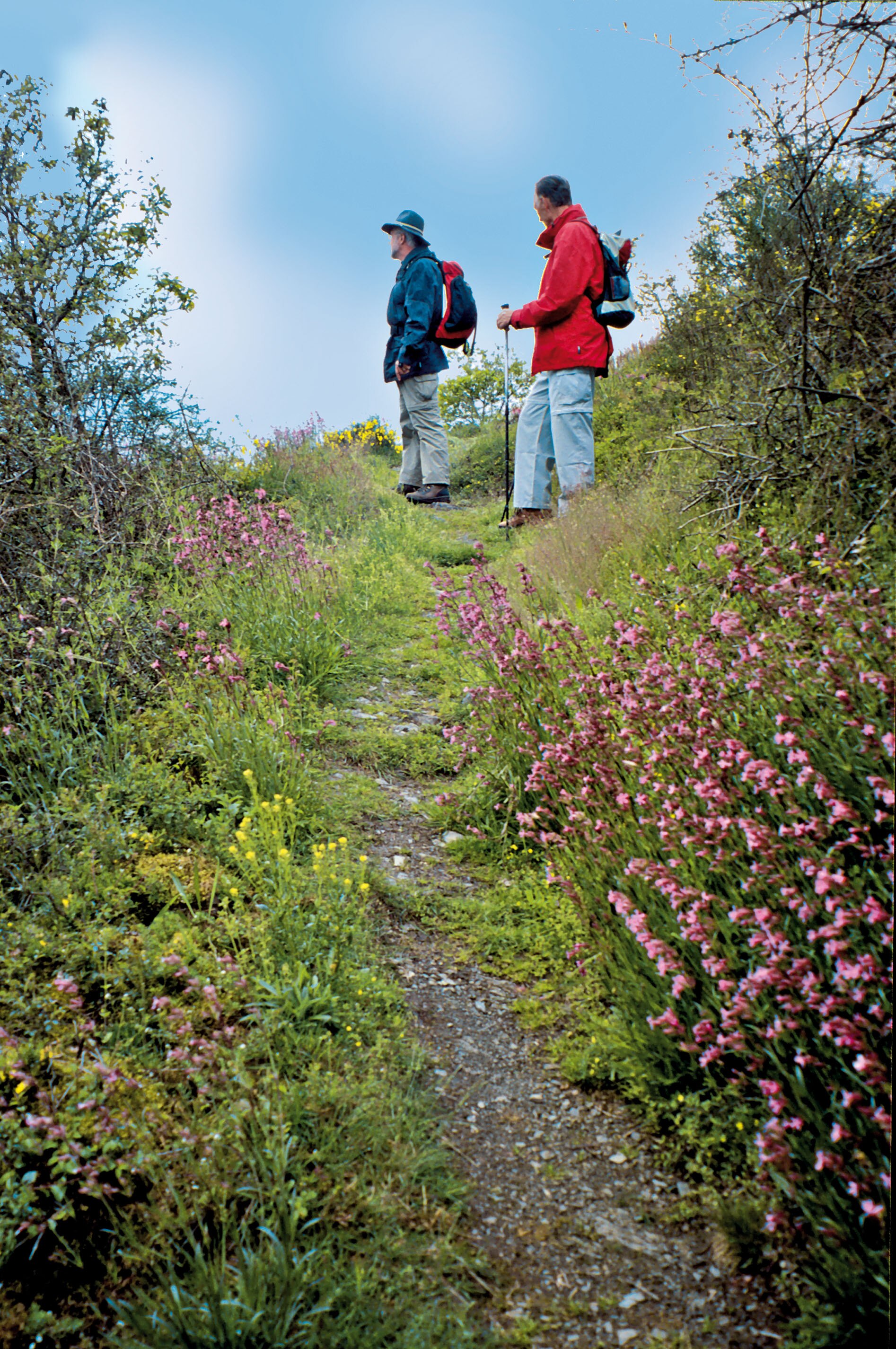 Wandern: Schuld - Winnerath - Schulder Hardt - Bergwelten