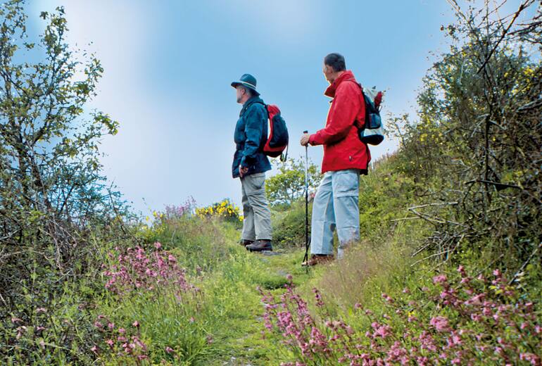 Wandern Schuld Winnerath Schulder Hardt Bergwelten