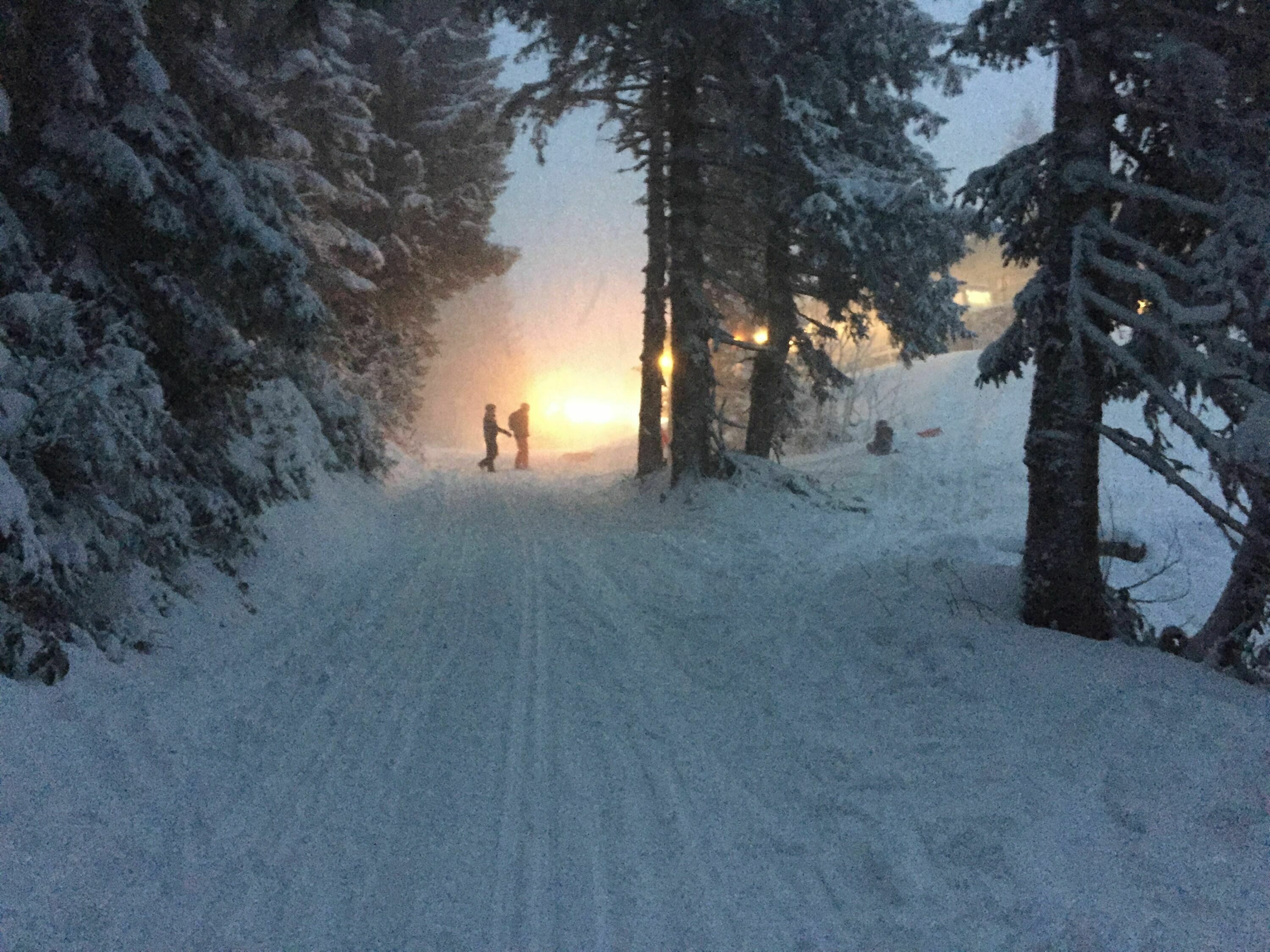 Rodeln Rodelbahn Spielberghaus 4km Bergwelten