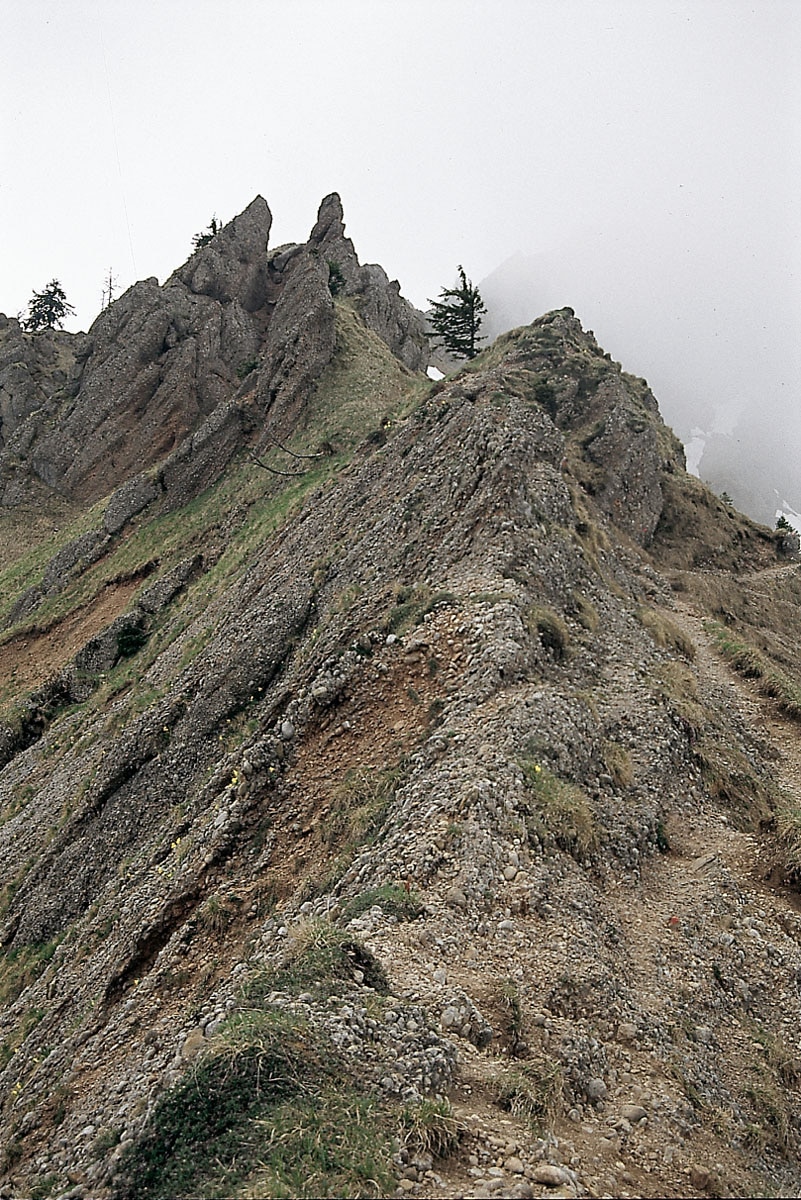 Wandern Stuiben 430 h 9 km Bergwelten