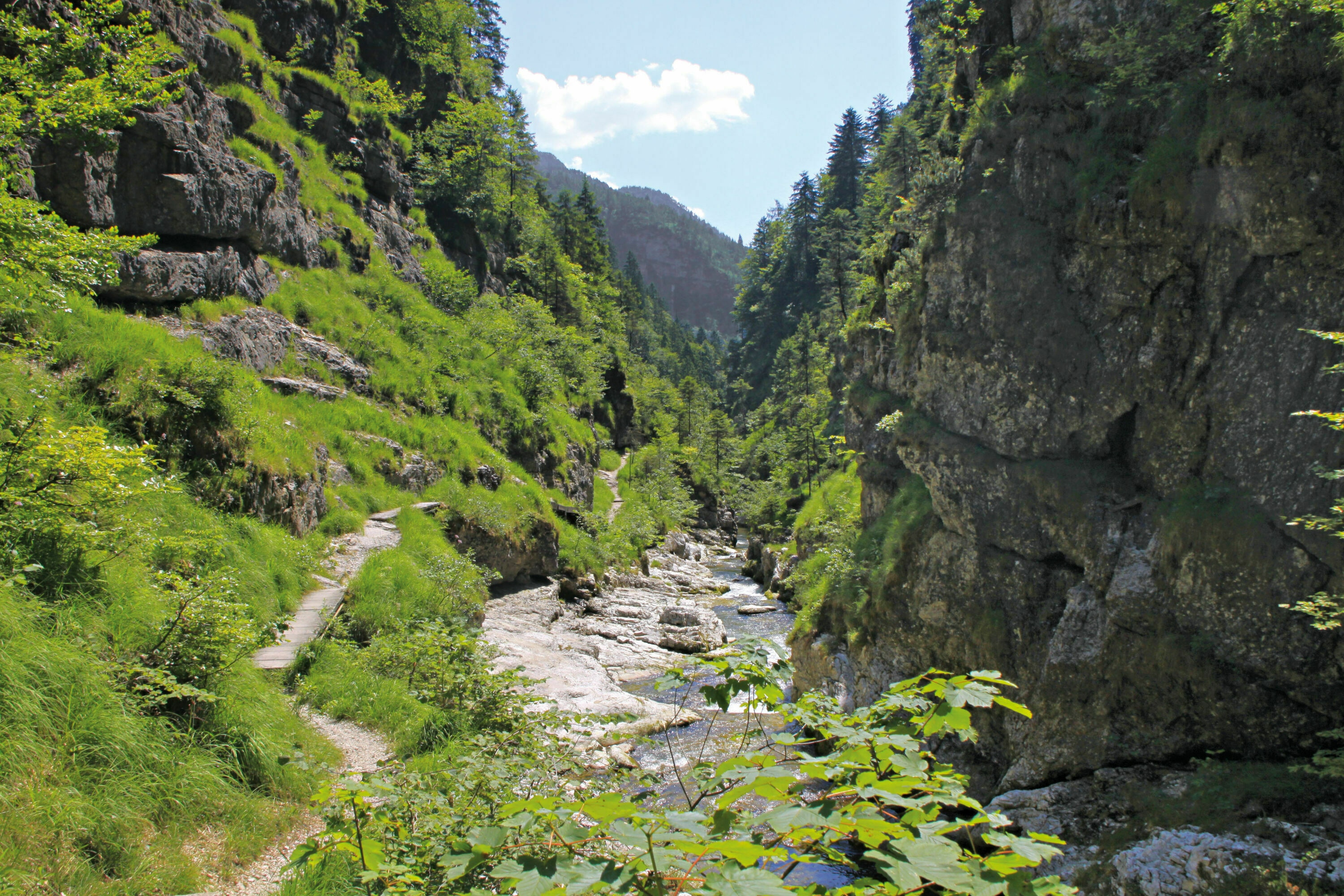 Wandern: Durch die Weißbachschlucht - 3:00 h - 6 km - Bergwelten